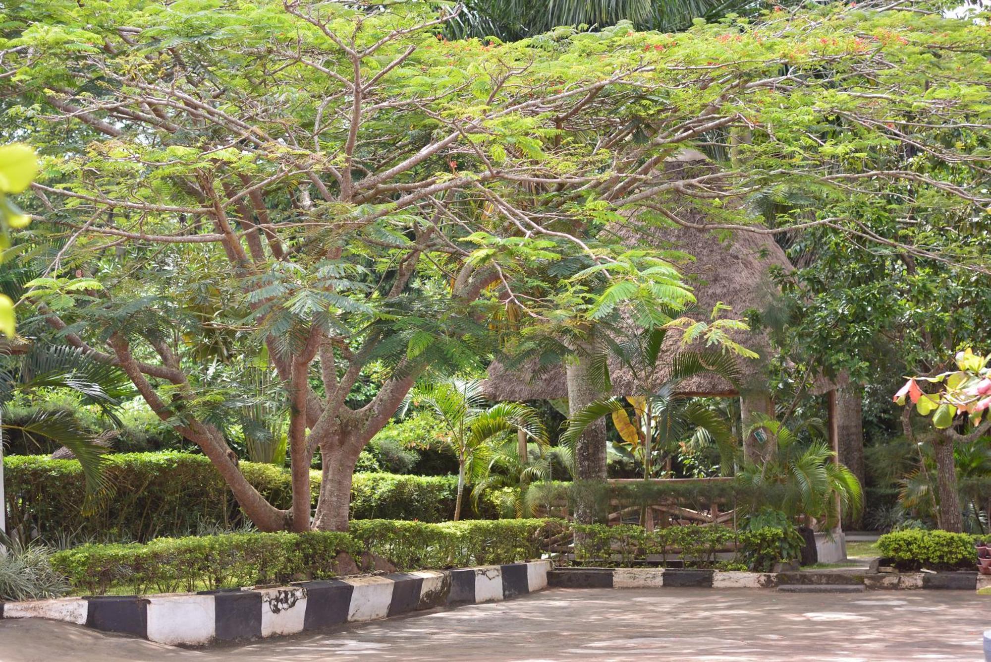 Hotel St. Patrick'S Forest House Entebbe Exterior foto